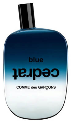 Comme Des Garcons Comme Des Garcons